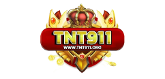 TNT911